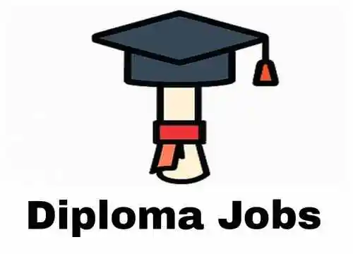 Diploma Jobs
