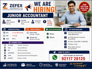 Junior Accountant