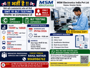 MSM electronics India Pvt Ltd